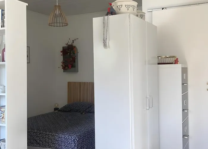 Petit Nid Pour Oiseaux De Passage Cayriech