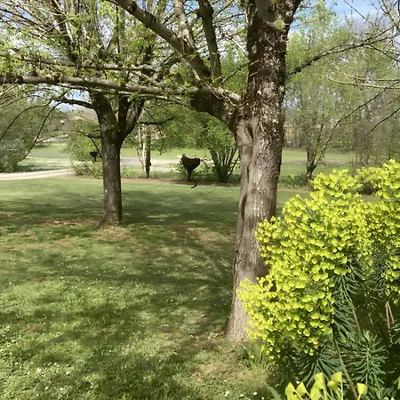 Petit Nid Pour Oiseaux De Passage Апартаменты *