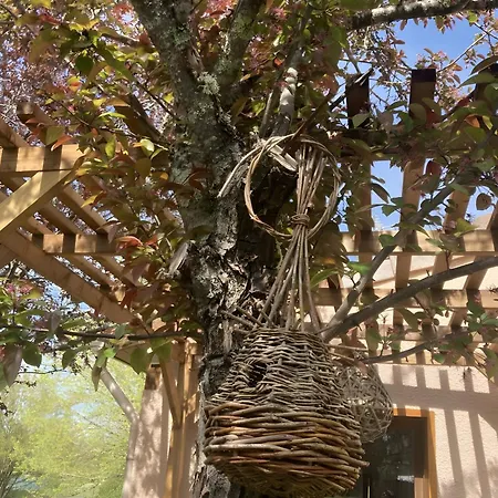 Апартаменты Petit Nid Pour Oiseaux De Passage