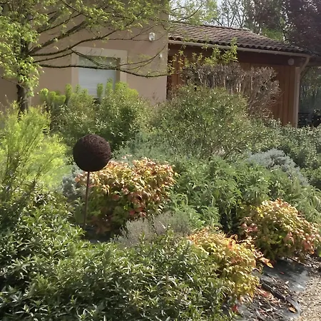 Petit Nid Pour Oiseaux De Passage