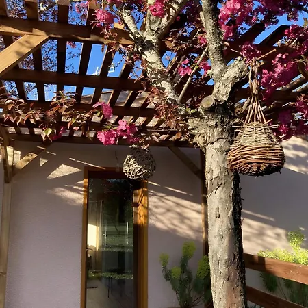 Petit Nid Pour Oiseaux De Passage Апартаменты *