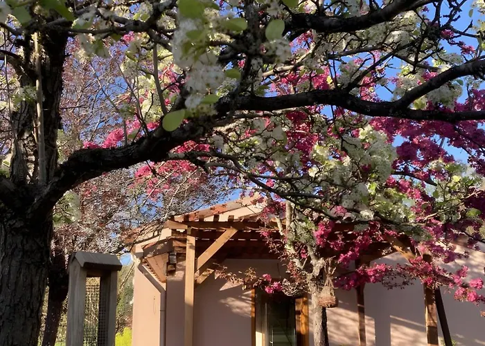 Апартаменты Petit Nid Pour Oiseaux De Passage Cayriech