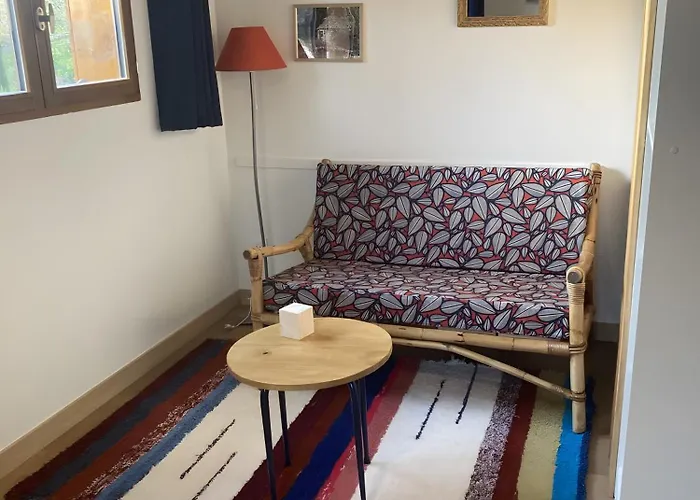 Petit Nid Pour Oiseaux De Passage *