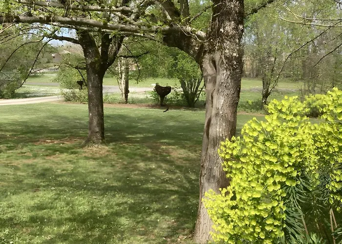 Petit Nid Pour Oiseaux De Passage Апартаменты *