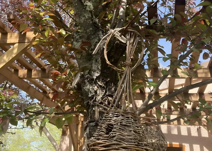 아파트 Petit Nid Pour Oiseaux De Passage