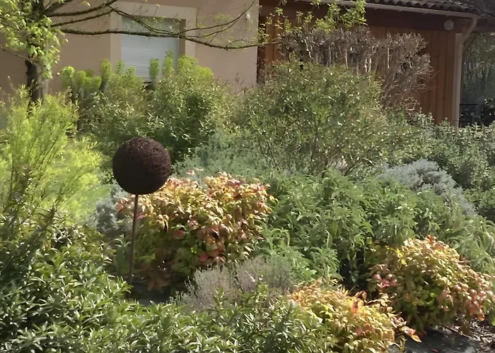 Petit Nid Pour Oiseaux De Passage