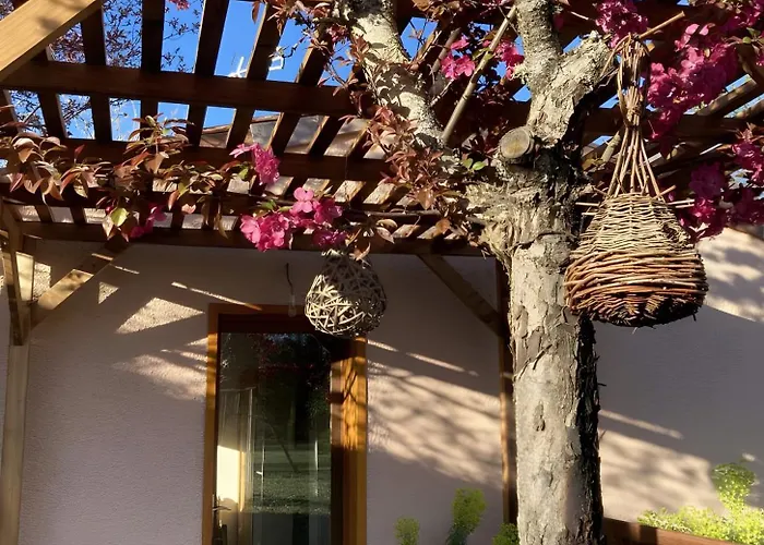 Petit Nid Pour Oiseaux De Passage Апартаменты *